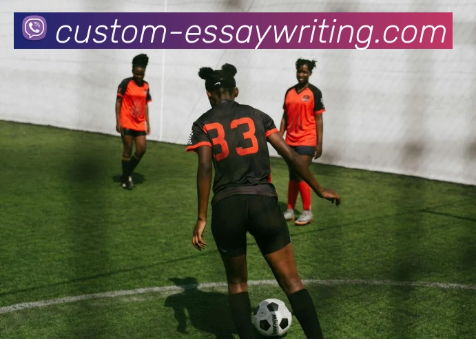 mk体育官方网发展历程